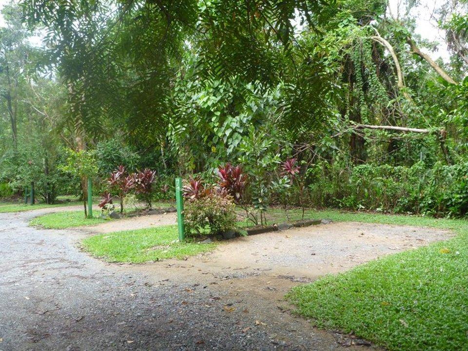 Pk'S Jungle Village Cape Tribulation Ngoại thất bức ảnh