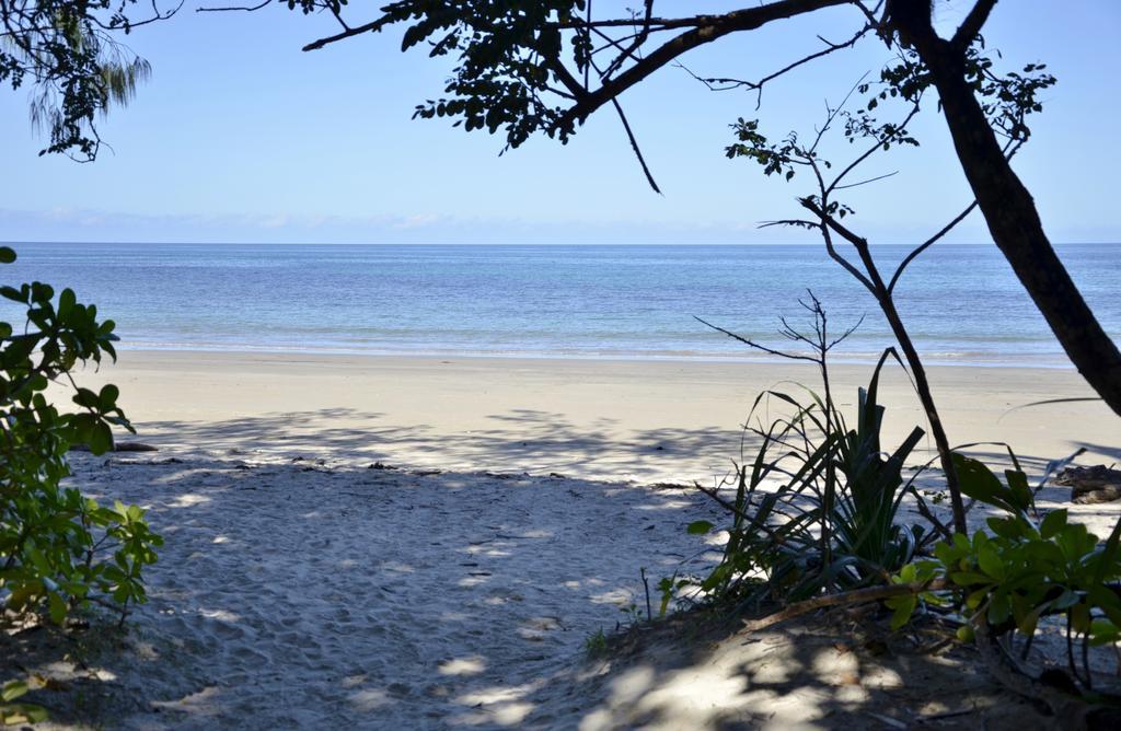 Pk'S Jungle Village Cape Tribulation Ngoại thất bức ảnh