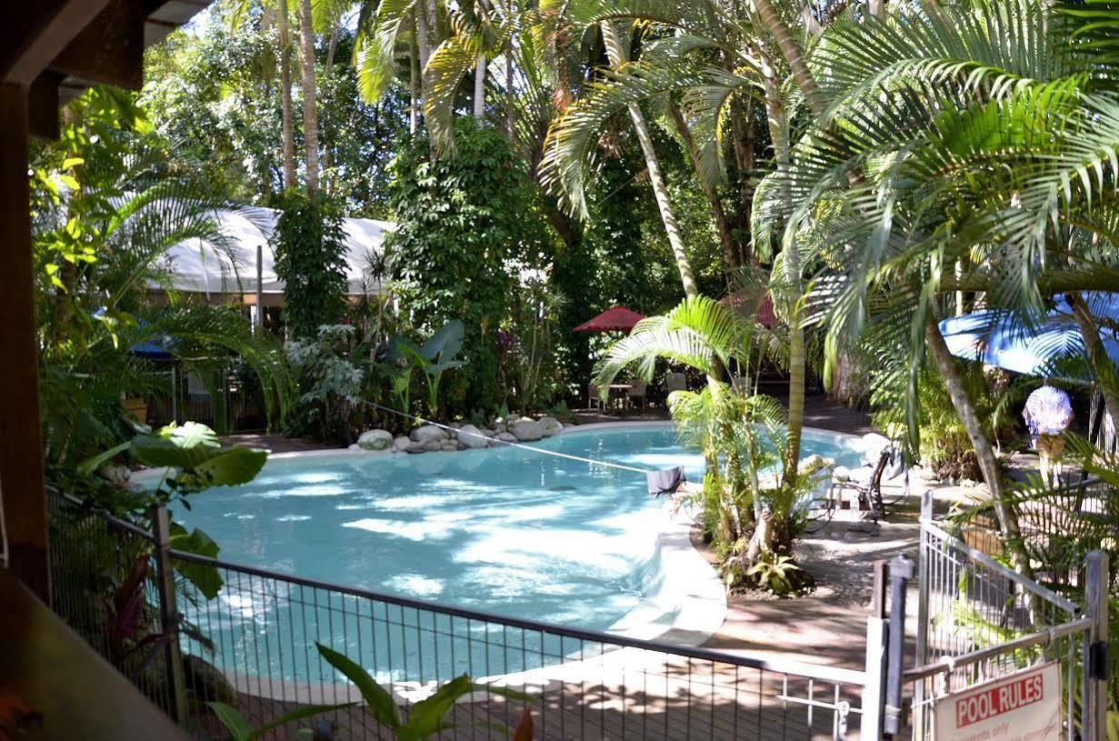 Pk'S Jungle Village Cape Tribulation Ngoại thất bức ảnh