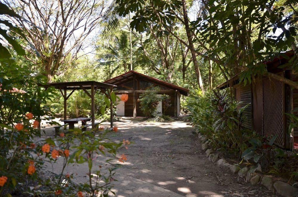 Pk'S Jungle Village Cape Tribulation Ngoại thất bức ảnh